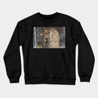 Cougar Crewneck Sweatshirt